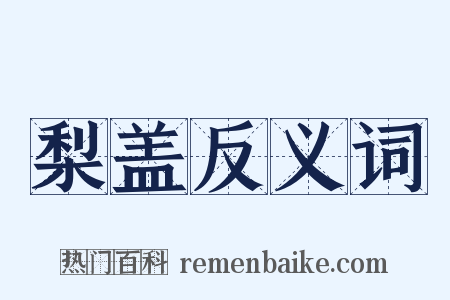梨盖反义词是什么意思的图片